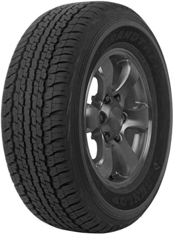2656018 110H DUNLOP GRANDTREK AT22   