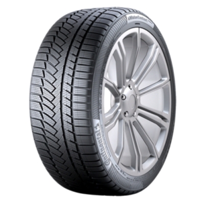 2754520 110V Continental WINTERCONTACT TS 850 P