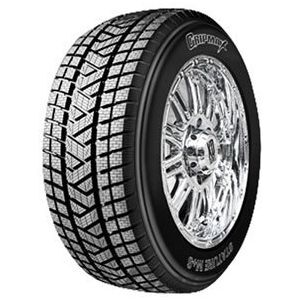 2357016 109T GRIPMAX STATURE M/S XL 