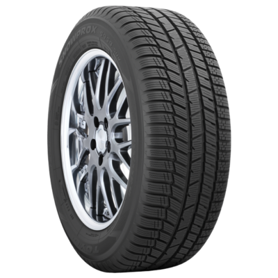 2454518 100V TOYO S954 XL    
